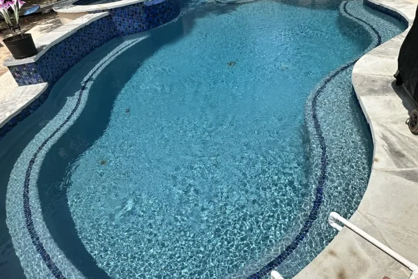 Curved free-form pool with blue waterline tile